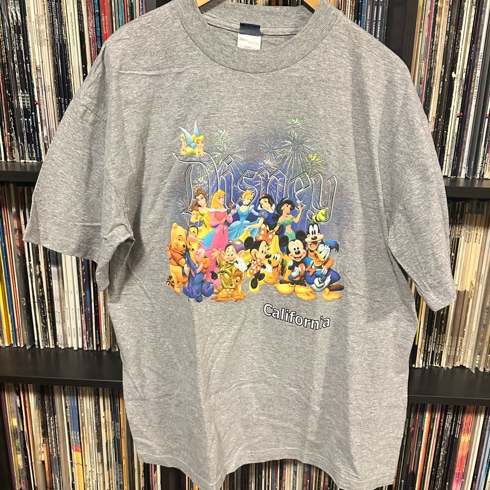 Disney Land Graphic Shirt With Characters